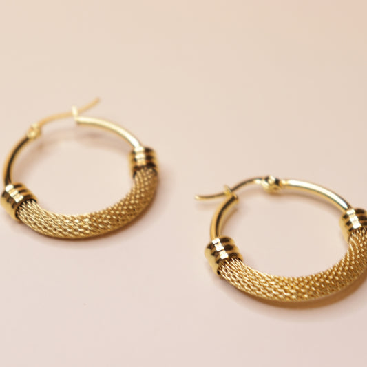 Golden Mesh Earrings