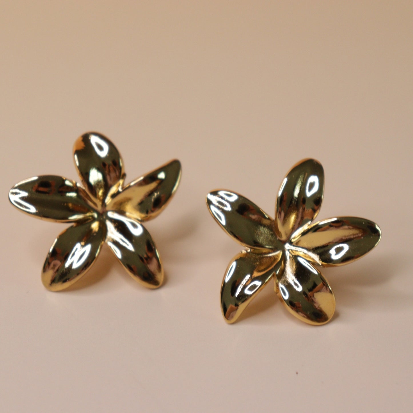 Shine Flowers Earrings