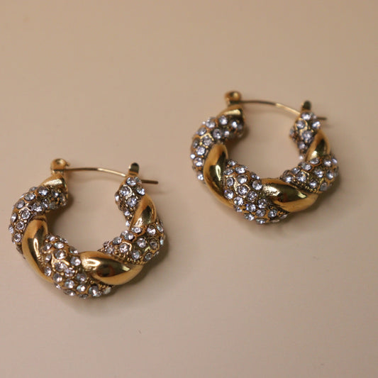 Twisted Glam Earrings