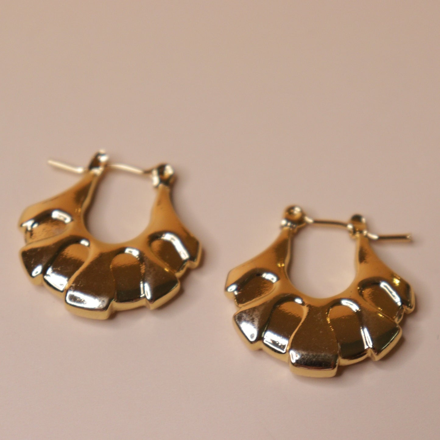 Glossy Curve Earrings