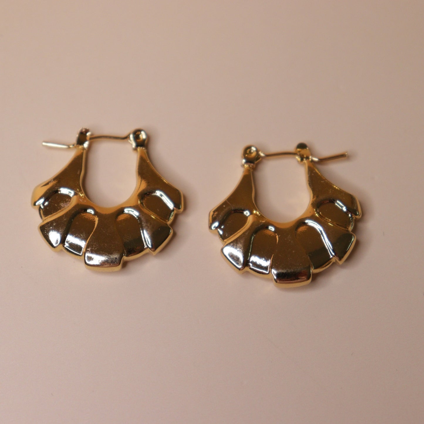 Glossy Curve Earrings