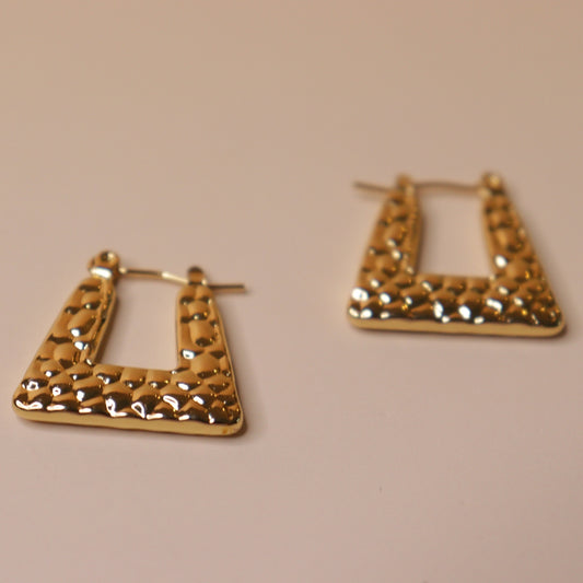 Golden Rhythm Earrings