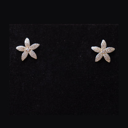 Radiant Papillon Luxe Set
