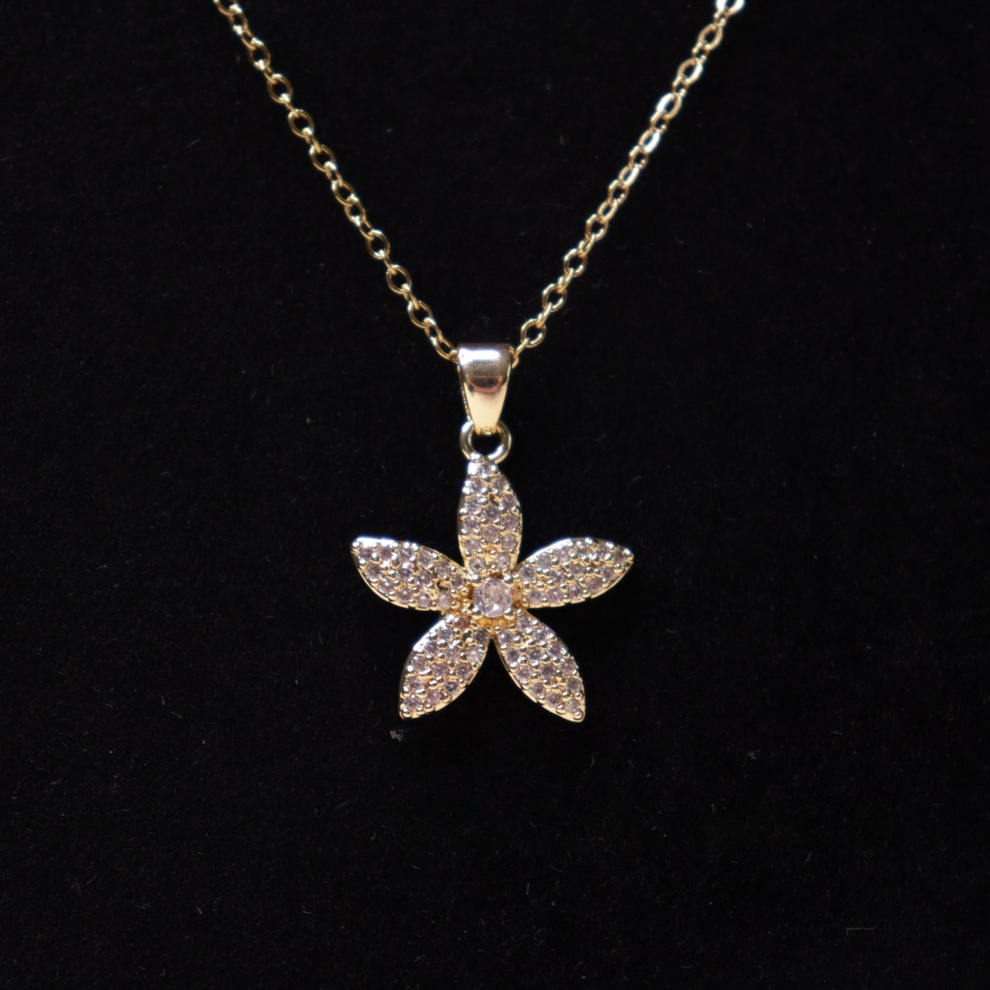 Radiant Papillon Luxe Set