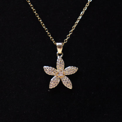 Radiant Papillon Luxe Set
